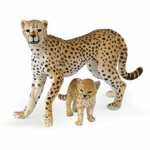 Cheetah With Cub
