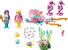 Starterpack Seahorse Carriage