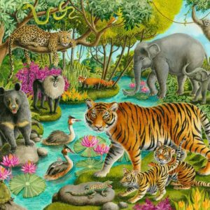 Animals of India