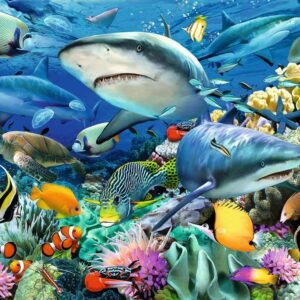 Shark Reef (100 pc Puzzle)