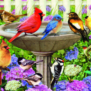 At the Birdbath