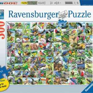 99 Delightful Birds (300 pc Large Format Puzzle)