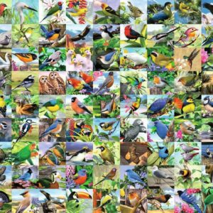99 Delightful Birds (300 pc Large Format Puzzle)
