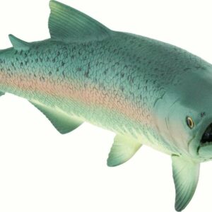 Salmon Toy