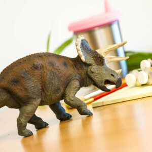 Triceratops Toy