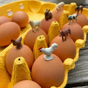 Farm Fun Pack