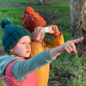 Paper Binoculars - Bird Spotter