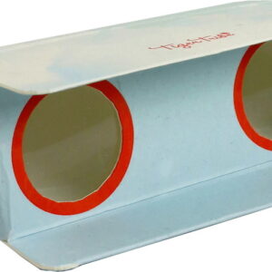 Paper Binoculars - Bird Spotter