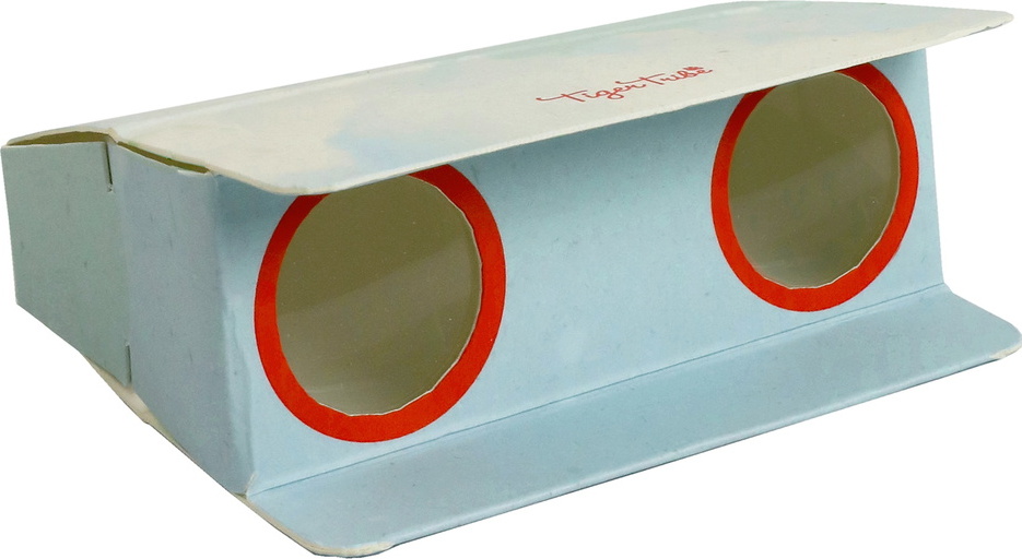 Paper Binoculars - Bird Spotter