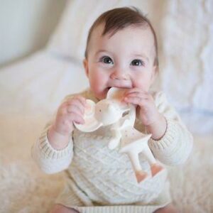 Meiya The Mouse Natural Organic Rubber Squeaker Toy