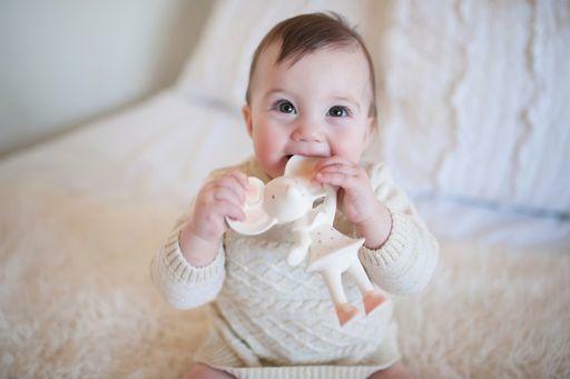 Meiya The Mouse Natural Organic Rubber Squeaker Toy